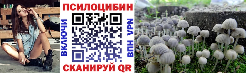 купить Кондрово Галлюциногенные грибы мицелий